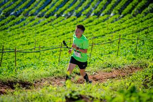 BIB: 
                            <button type="button" onclick="openModal(19161801)" class="btn btn-primary btn-sm float-right btn-popup" data-toggle="modal" data-target=".modal-high-quality">
                        <i class="fas fa-shopping-cart"></i> Add to Cart
                    </button>
                                            <button type="button" onclick="isThisMe(19161801, true)" class="btn btn-success btn-sm float-right btn-popup btn-isme hidden" data-toggle="tooltip" data-placement="bottom" title="นี่คือรูปของคุณใช่ไหม คลิกที่นี่เพื่อเอาเข้าอัลบั้ม">
                        <i class="fas fa-plus"></i> Add to album
                    </button>
                    <button type="button" onclick="isThisMe(19161801, false)" class="btn btn-warning btn-sm float-right btn-popup btn-isnotme hidden">
                        <i class="fas fa-ban"></i> Remove from album
                    </button>